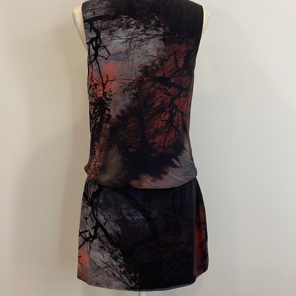 One of Kind Gorgeous Scenic Dress - Picture 6 of 8